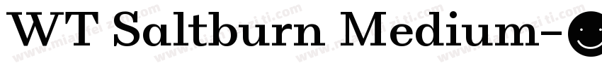 WT Saltburn Medium字体转换